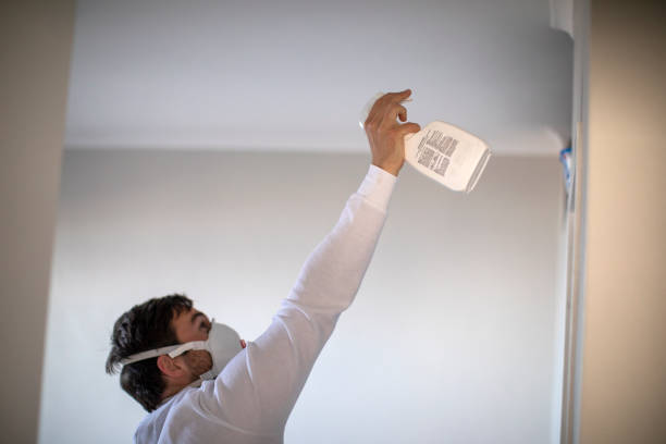 Best White Mold Remediation in Chandler, IN