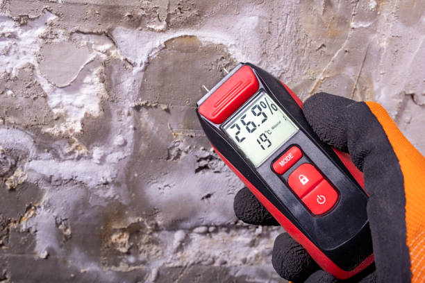 Best Emergency Mold Remediation in Chandler, IN