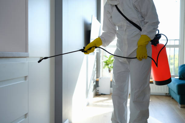 Best HVAC Mold Remediation in Chandler, IN